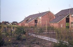 1_dia-meurs-bouwkamp-sterrekamp051